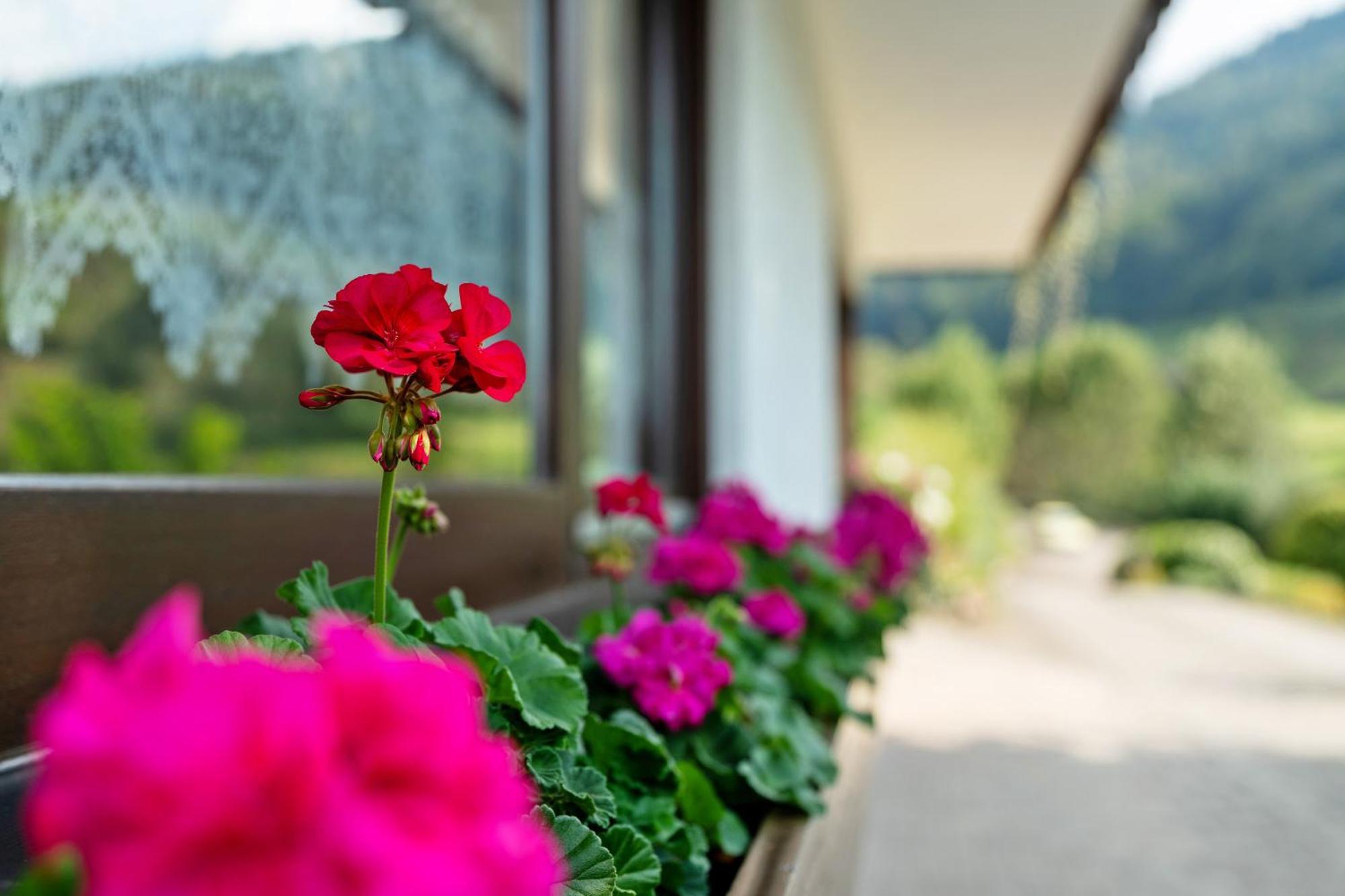 Haus Schindler Apartman Ottenhofen im Schwarzwald Kültér fotó